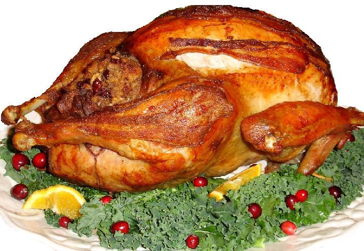 Thankgiving Turkey